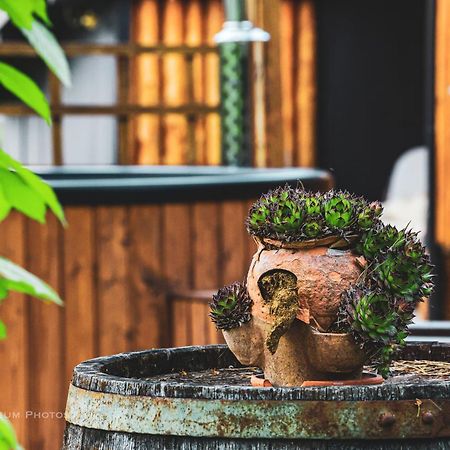 House Arupium - Hot Tub Villa Otocac Exterior photo